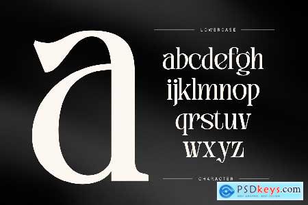 Arfa Vintage - Branding Logo Font