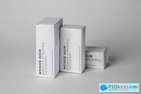 Salena  Minimalist Modern Sans Serif Font