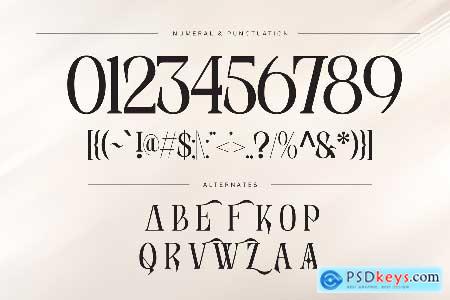 Arfa Vintage - Branding Logo Font