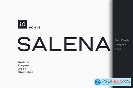 Salena  Minimalist Modern Sans Serif Font