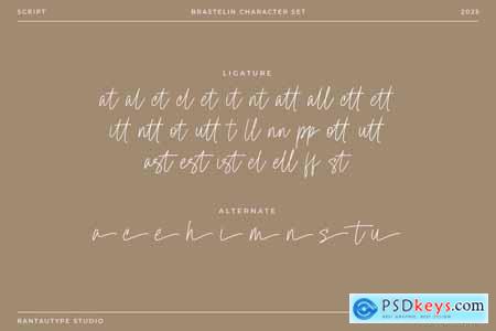 Brastelin Modern Monoline Font