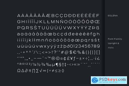Salena  Minimalist Modern Sans Serif Font