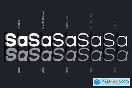 Salena  Minimalist Modern Sans Serif Font