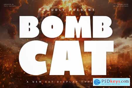 Fat Display - Bombcat