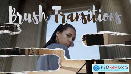 Brush Transitions 58809766