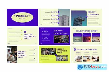 Project Status