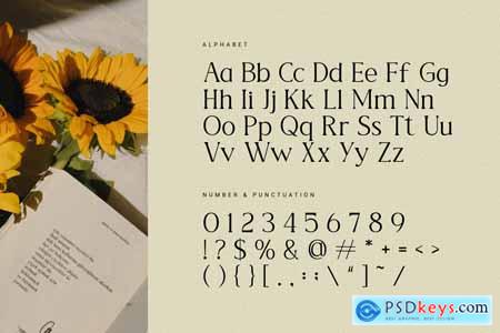 Caleste Marsilo Luxury Modern Serif
