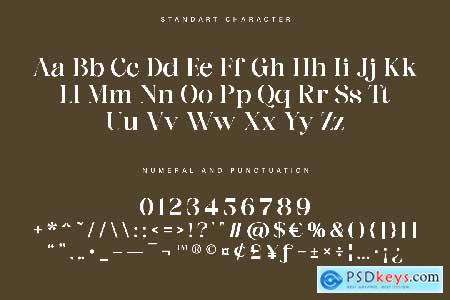 Elegant Luxury Serif Font - Blinkers Rogue
