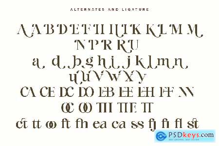 Elegant Luxury Serif Font - Blinkers Rogue