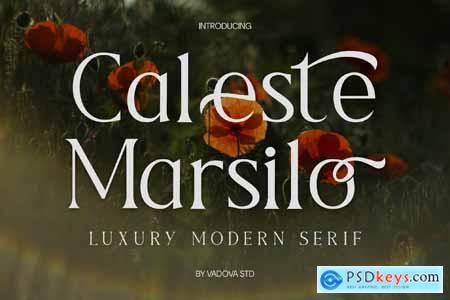 Caleste Marsilo Luxury Modern Serif