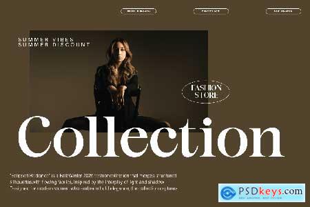 Elegant Luxury Serif Font - Blinkers Rogue