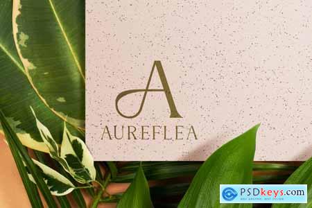 Caleste Marsilo Luxury Modern Serif