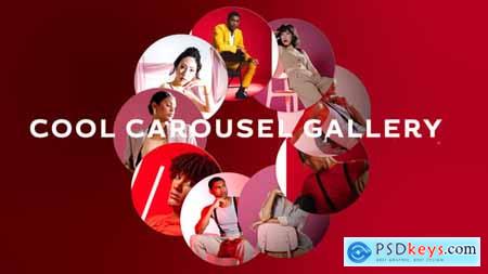 Cool Carousel Gallery 58952849