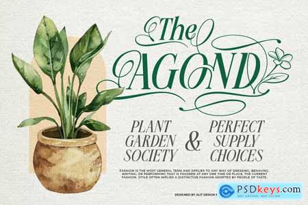 Meillona Typeface