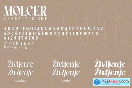 Molcer - Modern Serif Family Font