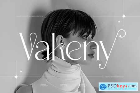 Vakeny Modern Simple Serif Font