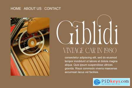 Nabira Modern Elegant Serif