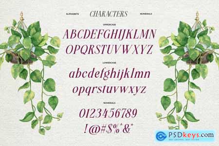 Meillona Typeface