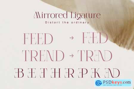 Celestira - Modern Elegant Luxury Serif Font