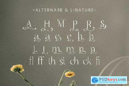 Marquis - Elegant Modern Serif