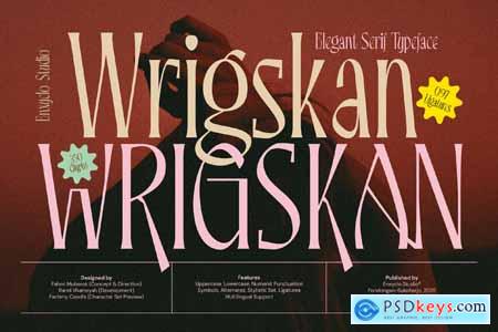 Wrigskan - Modern Luxury Lavish Luxury Logo Font