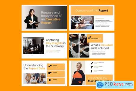 Executive Report