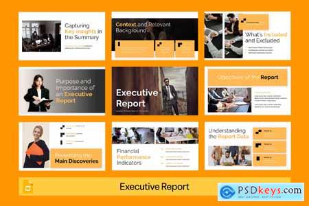 Executive Report