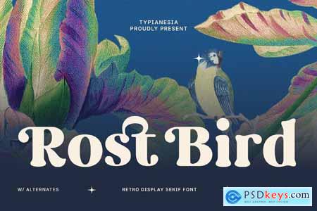 Rost Bird - Soft Retro Display Serif Font