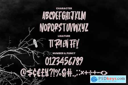 Raven Handwritten Display Font
