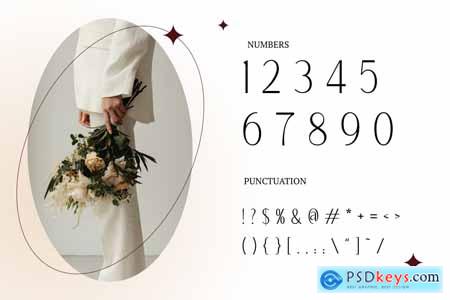 Alestiqua Elegant Sans Serif