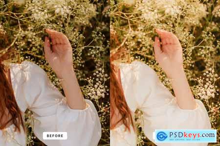 Dreamy Film Lightroom Presets