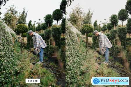 Botanical Lightroom Presets