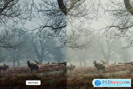 Morning Foq Lightroom Presets