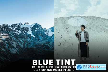 Blue Tint - Desktop and Mobile Presets