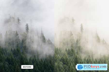 Morning Foq Lightroom Presets