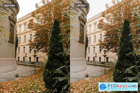 Old Money Lightroom Presets