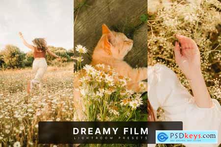 Dreamy Film Lightroom Presets