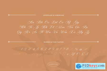 Fantasia  Elegant & Modern Script Font