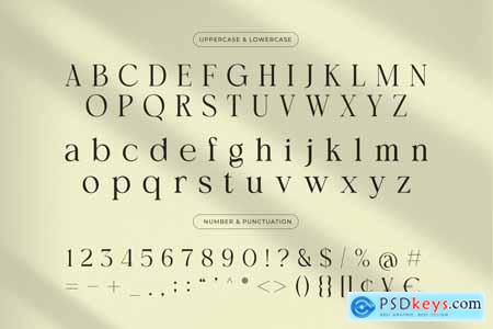 Arashy  Elegant Serif Font