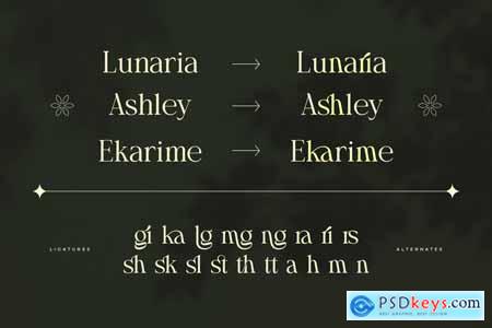 Arashy  Elegant Serif Font