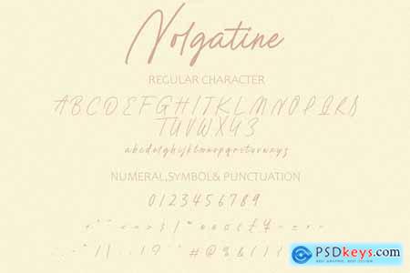 Nolgatine Script  Textured Handwritten Font
