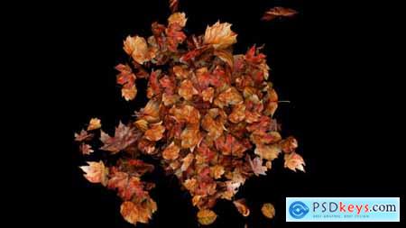 Autumn Leaves Particles Burst no Plugins 59558132 Autumn Leaves Particles Burst no Plugins 59558132