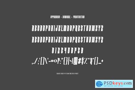 Sport Sans Serif Font Segnovex