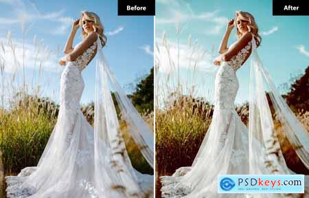 Wedding Lightroom Presets