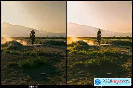 Golden Sunset - Desktop and Mobile Presets