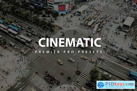 Cinematic Premier Pro Video Presets