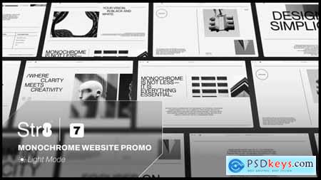 Monochrome Website Promo (Light Mode) 59784800 