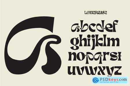 Rowox  Experimental Display Font