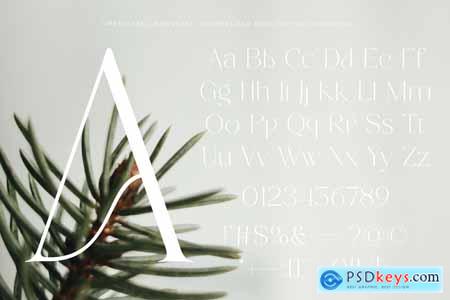 Cremore - Serif Typeface