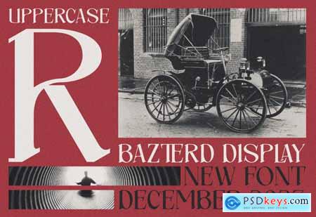 Bazterd - Experimental Display
